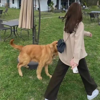 艺术家与模特儿